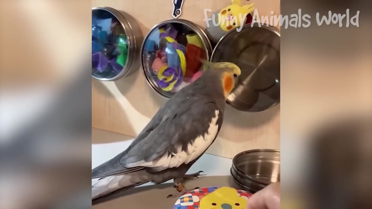 Funniest Animal Videos 2023 😅 - Best Funny Cats & Dogs Videos 🥰 #21