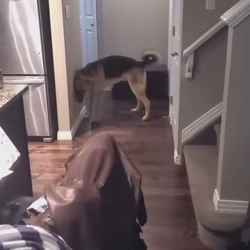 I'm already tired of the noise