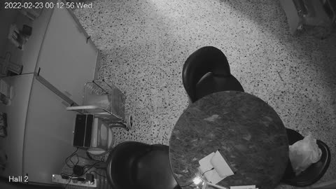 hallmid midnight 20220223