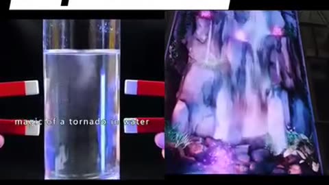 Science Water Experiment