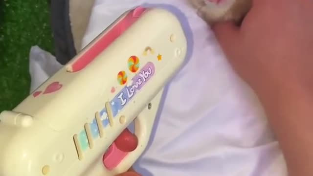 Ferret proof lollipop 😇