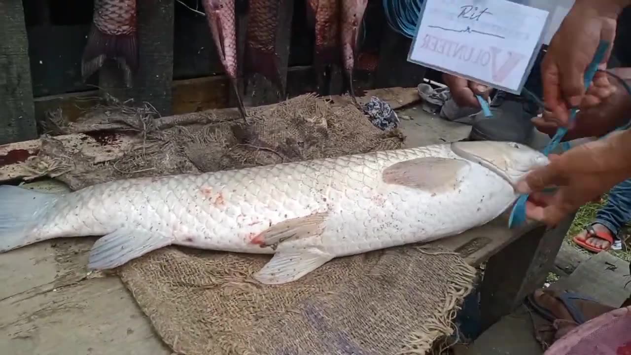 sa Tang da ki second shwa ban kut sei u Rawon da kaba heh-haka Kyrdan ba nyngkong syndon.