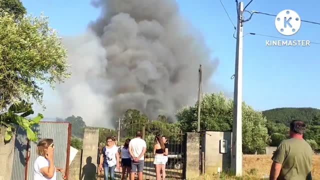 Portugal incêndio florestal | forest fire Portugal today (05/07/2022)| tramagal forest fire