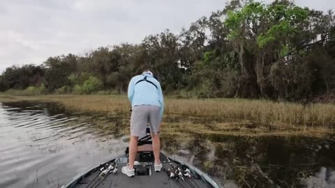 20+ Pounds | 3 BASS | Florida Bed Fishing