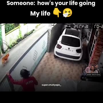 "Laughing Through Life: Hilarious Moments Caught on Camera"