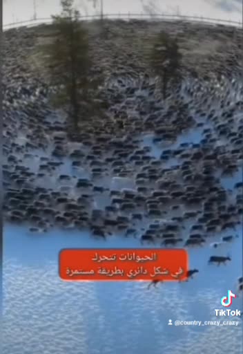 Watch for the signs God is coming to get his bride