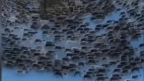 Watch for the signs God is coming to get his bride