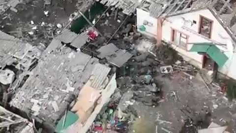 ATTENZIONE IMMAGINI IMPRESSIONANTI