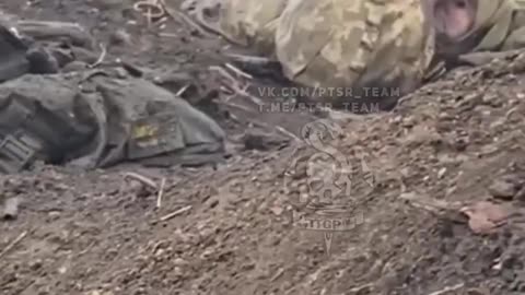 Ukrainian positions are littered with the corpses of the Armed Forces of Ukraine