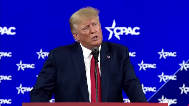 Trump on Biden and NATO: "Our leaders are dumb"