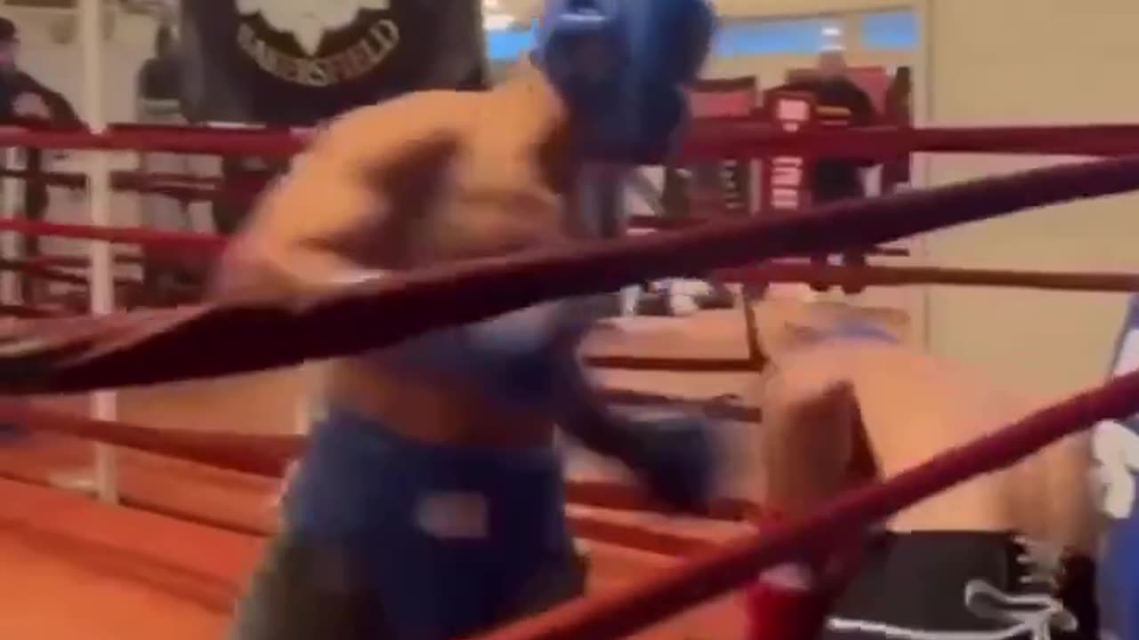 boxing at its peak