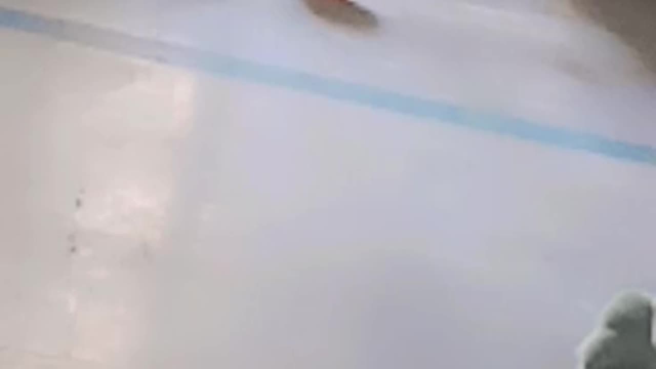 Little Chiks viral video
