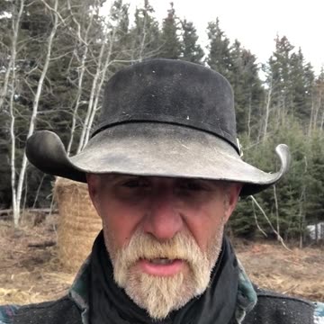 True Canadian Cowboy: Hanging🦕Out With The Moose🦌😎