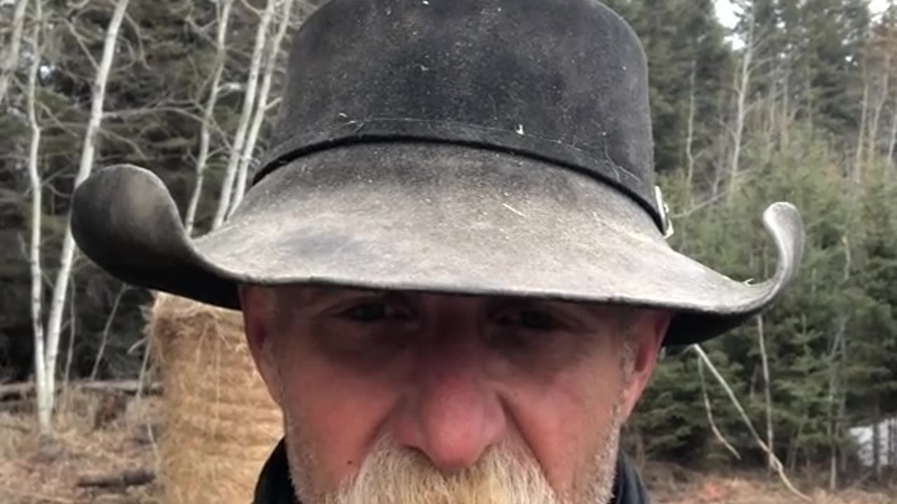 True Canadian Cowboy: Hanging🦕Out With The Moose🦌😎