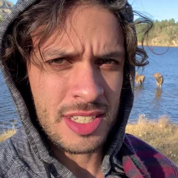 But first: let me take a Selkie