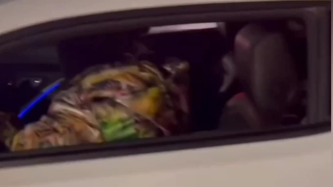 Not the ending I was expecting