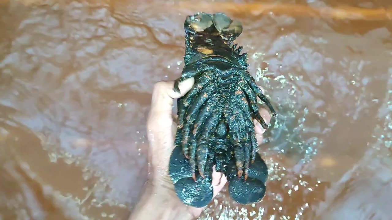 Visiting lobster farming
