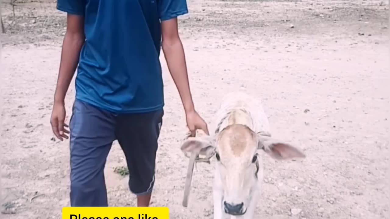 Wait for and 😁 comedy video funny videos