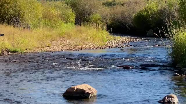 Mountain River in front of a Ski Hill