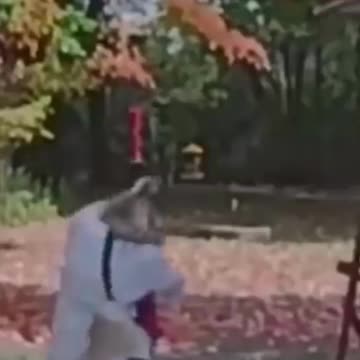 Funny Security Cams Gardening Gone Wrong
