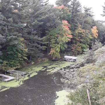 Wisconsin Dells Fall colors at Dell Creek October 3rd, 2022