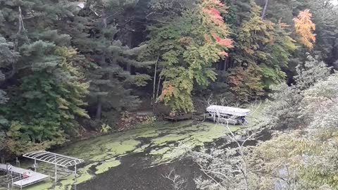 Wisconsin Dells Fall colors at Dell Creek October 3rd, 2022