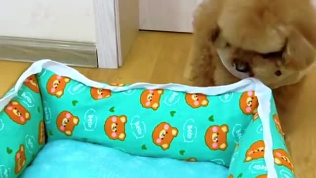 so cute