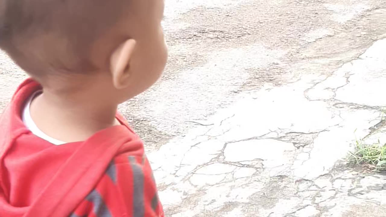 Little cat and little kid funny video