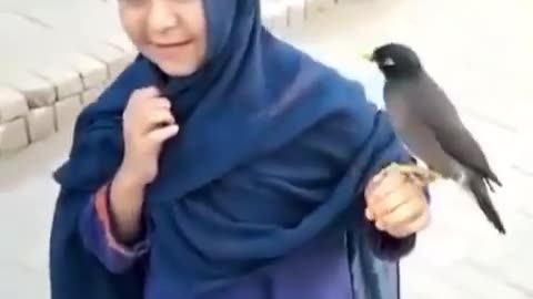 Loving Bird little girl