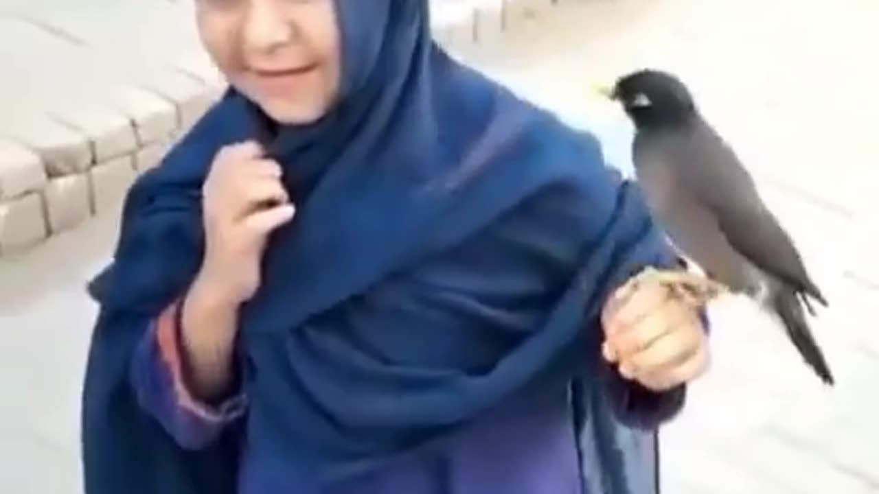 Loving Bird little girl