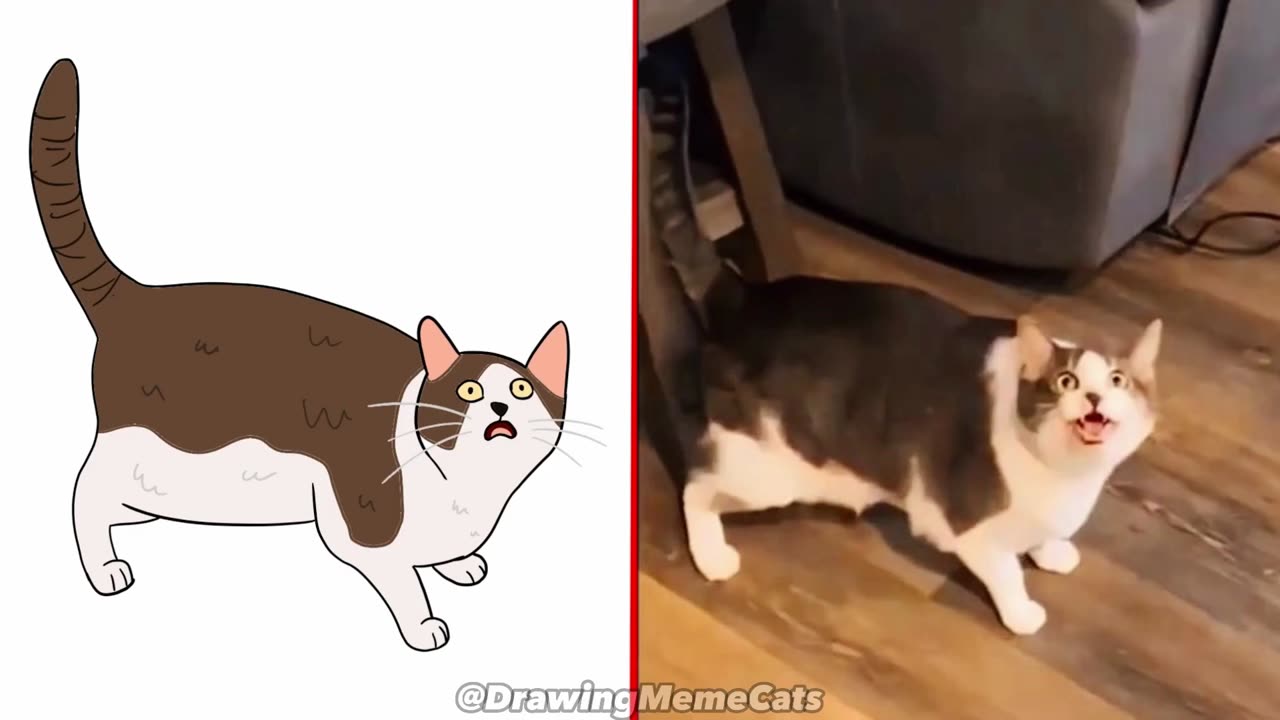 πCat Memes: Funniest Animals 2023π Funny Cats and Dogs | Cat Memes - Drawing Meme