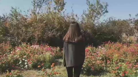 Flower Sea