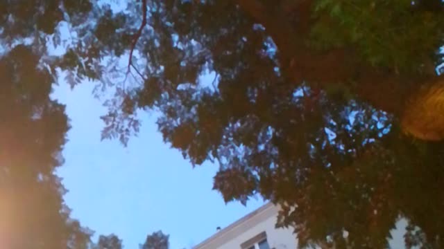 Valencia sky footage 8/20/2021