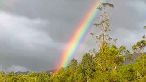 Surprised by Beautiful Rainbow