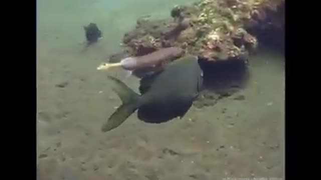 Time with God - September 16