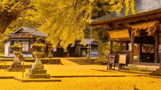 The Autumn scenery