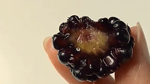 eating sweet mulberry #berries #fruits #viral #trending #food #short
