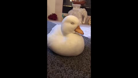 [Munchkin] "Sleepy Duck" looks like me in class