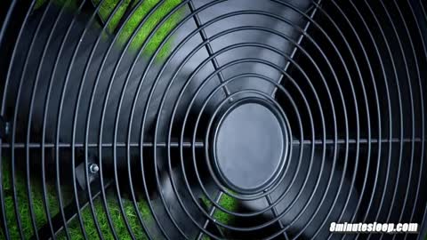 Fan-