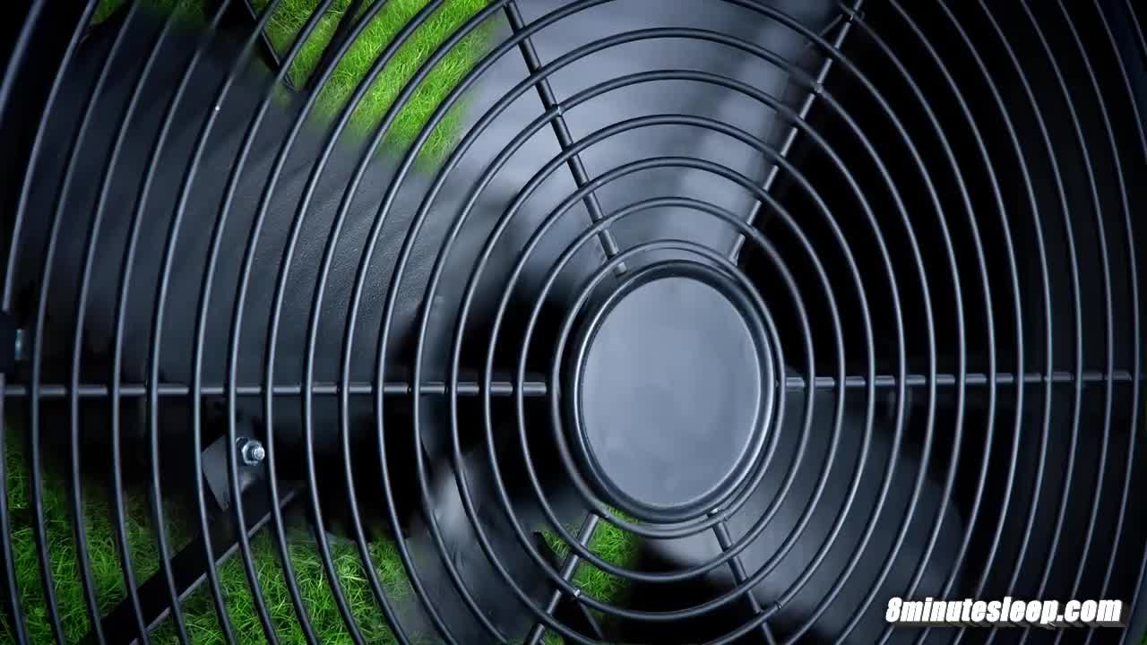 Fan-