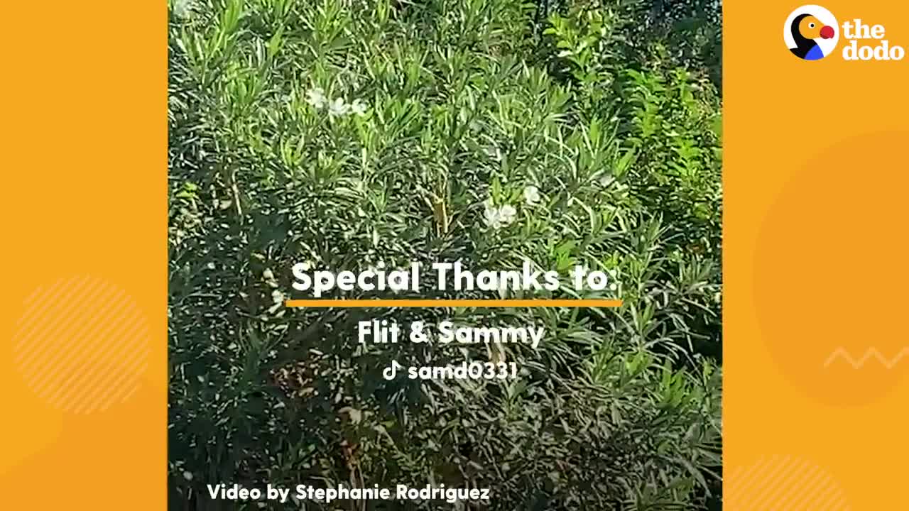 Man Finds Baby Hummingbird On The Side Of The Road