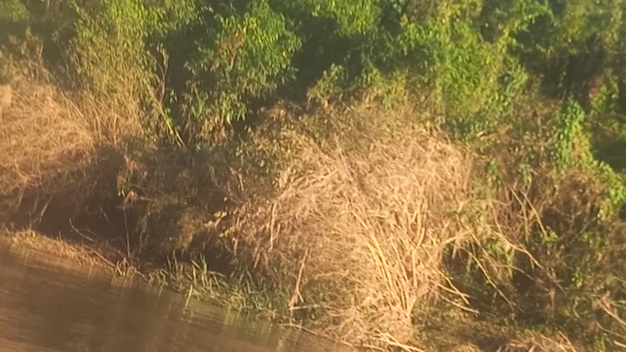 Ponte de ferro na trilha de caiaque