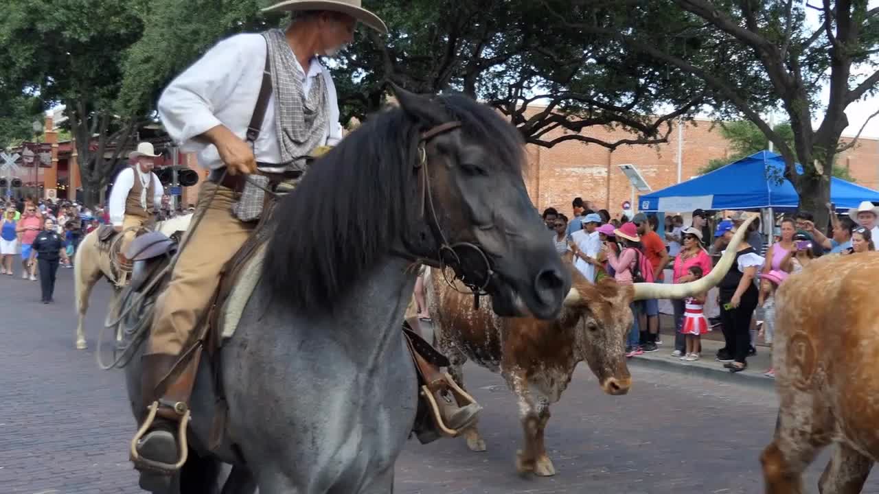 The Fort Worth Stockyards, a historic district in Fort Worth, Texas, United States of America