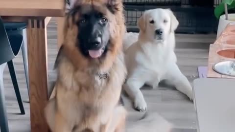 Cute 😂