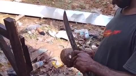 viral the way Indonesian Papuans peel coconuts