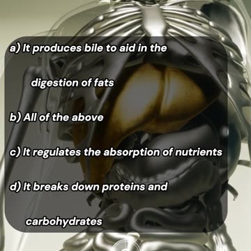 Questions & Answers: The Liver