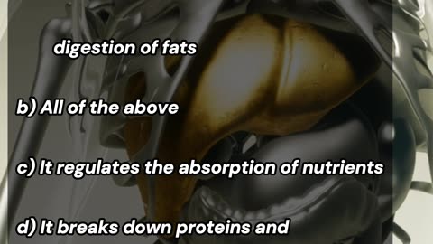 Questions & Answers: The Liver