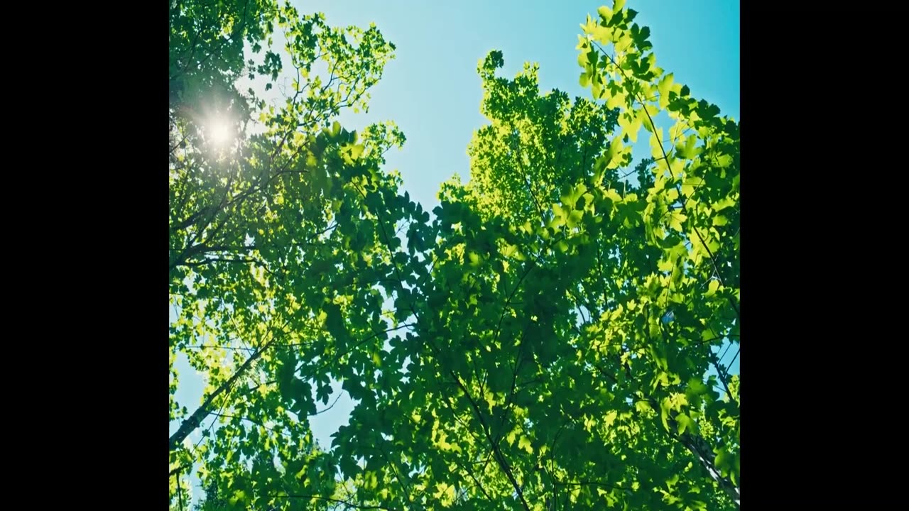 Я буду там Трейлер