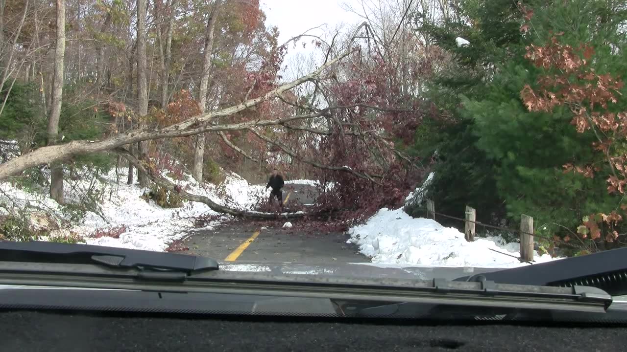 #299 - 20111124 - Cleanup after Snow Storm Albert