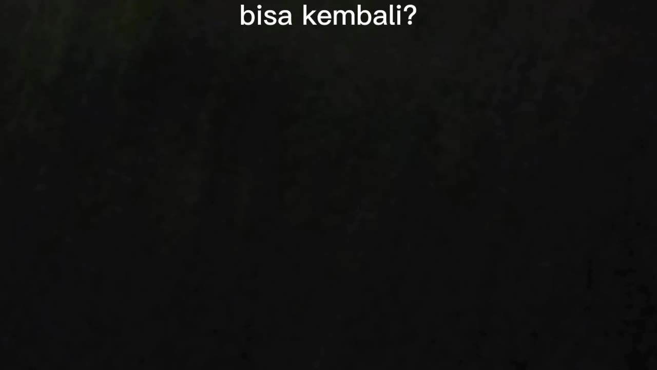Kata kata hari ini